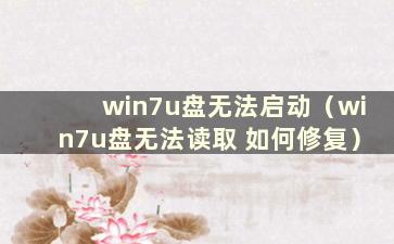 win7u盘无法启动（win7u盘无法读取 如何修复）